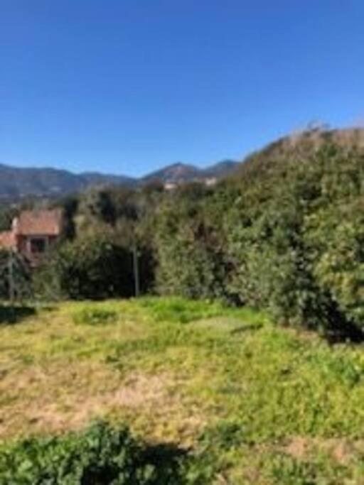 Villa En Corse Du Sud Entre Mer Et Montagne Peri Dış mekan fotoğraf